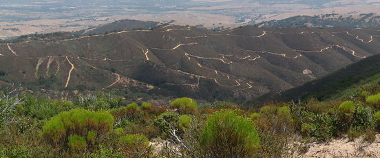 A view of OHV trails at Hollister Hills SVRA